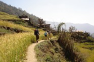 Village hiking as a cultural experience - 10 Days Helambu Trek